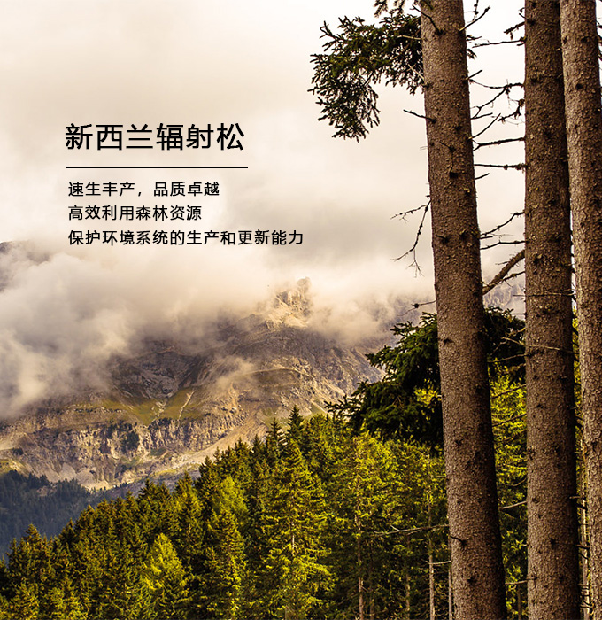 这是描述信息 这是描述信息